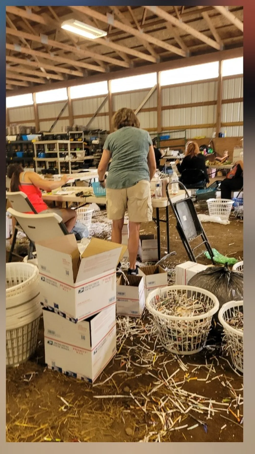 The team packing and sorting iris orders in the barn